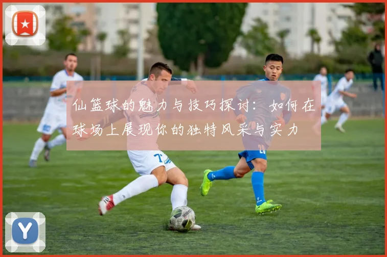 仙篮球的魅力与技巧探讨：如何在球场上展现你的独特风采与实力