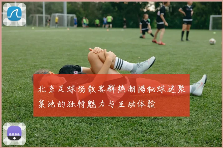 北京足球场散客群热潮揭秘球迷聚集地的独特魅力与互动体验