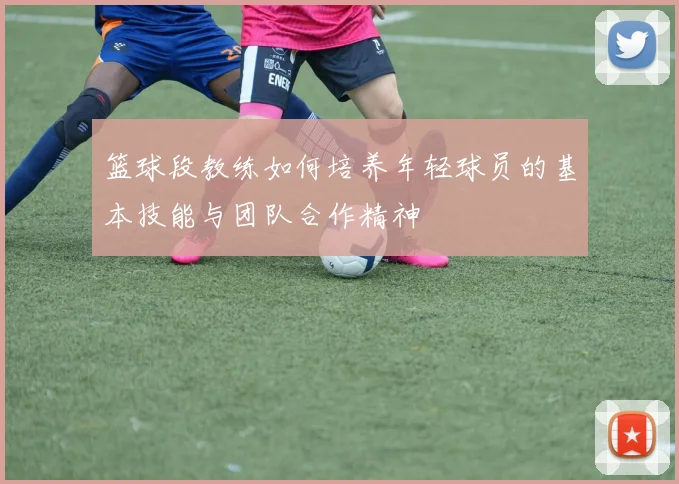 篮球段教练如何培养年轻球员的基本技能与团队合作精神