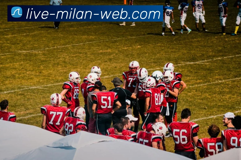 米兰体育平台生态图