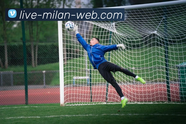 辅助工具 辅助工具